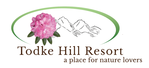 Todke Hill Resort